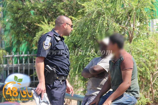 ta3n yaffa jnh (7).JPG